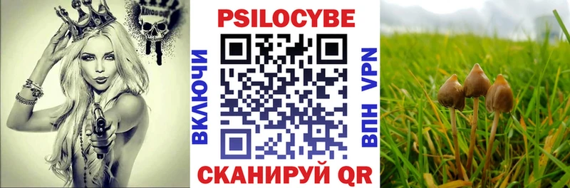 как найти закладки  Клин  Псилоцибиновые грибы GOLDEN TEACHER 
